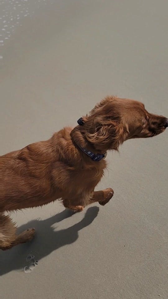 Post 2 by Brittany W on TikTok (video)