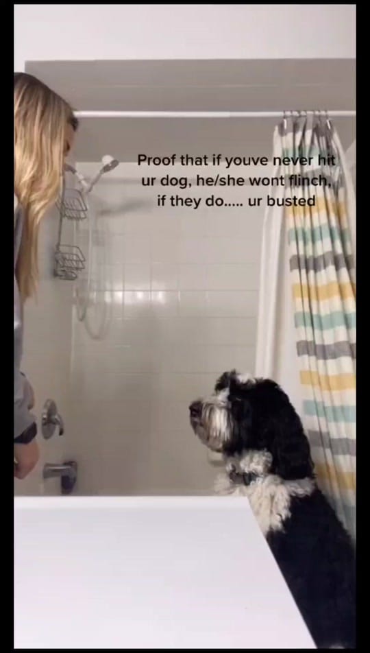 Post 10 by Brittany W on TikTok (video)