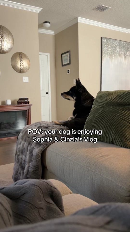 Post 1 by Rachel Gibson on TikTok (video)