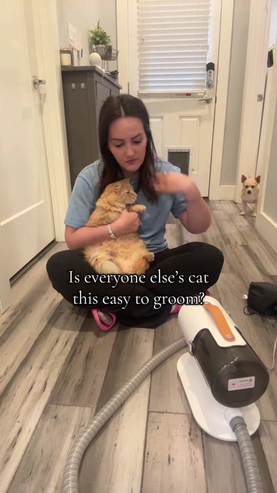 Post 1 by chanelrafiemart on TikTok (video)