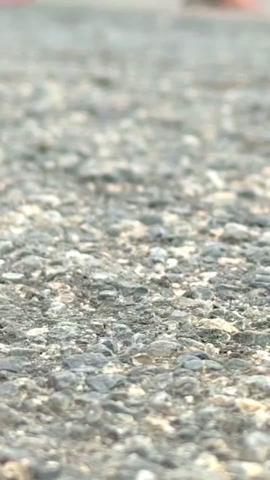 Post 1 by Allen Grigsby on TikTok (video)