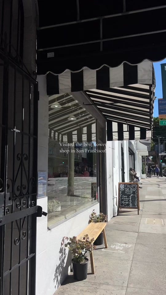 Post 9 by Mia Taxin on TikTok (video)