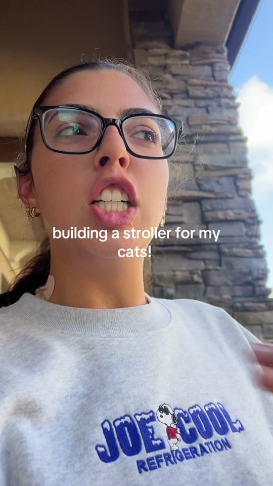 Post 5 by nays on TikTok (video)