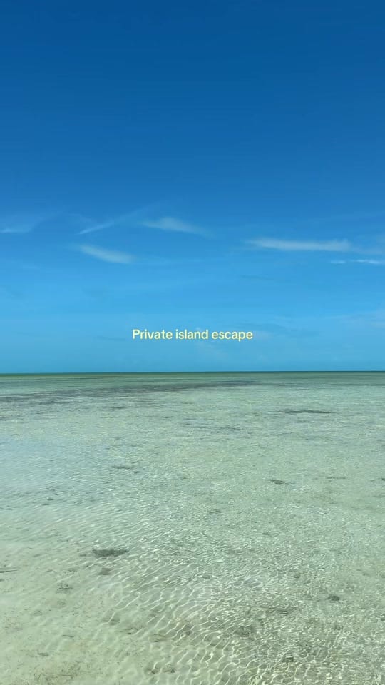Post 5 by Ariana ❋ often elsewhere on TikTok (video)