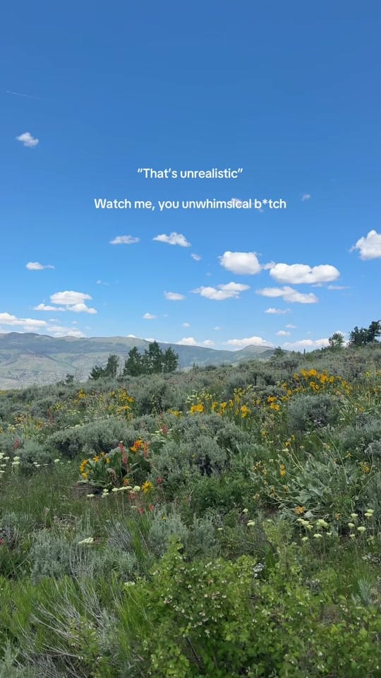 Post 3 by Ariana ❋ often elsewhere on TikTok (video)