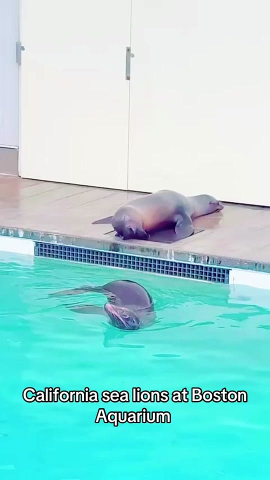 Post 6 by Anna💞🇺🇸🌟 on TikTok (video)