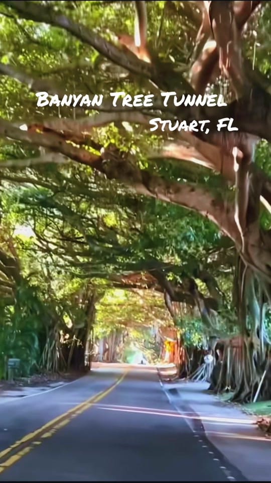 Post 4 by Melissa Baio | FL Realtor ❌ on TikTok (video)