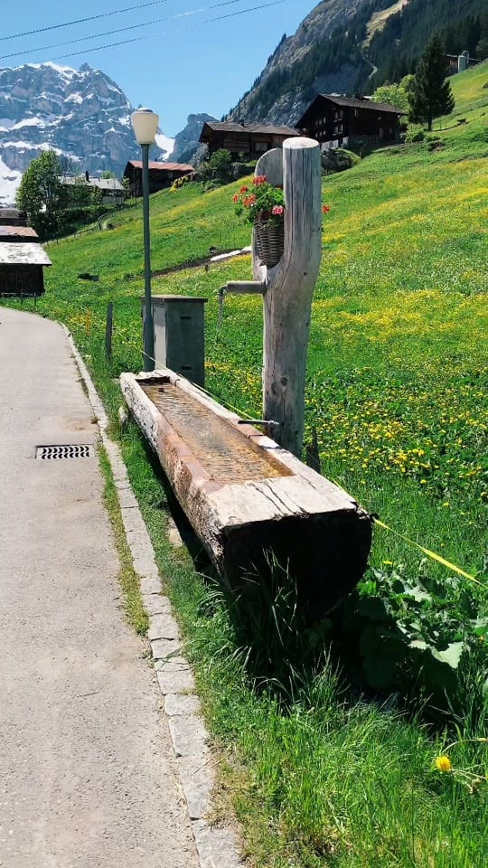 Post 8 by Regina Mardan on TikTok (video)