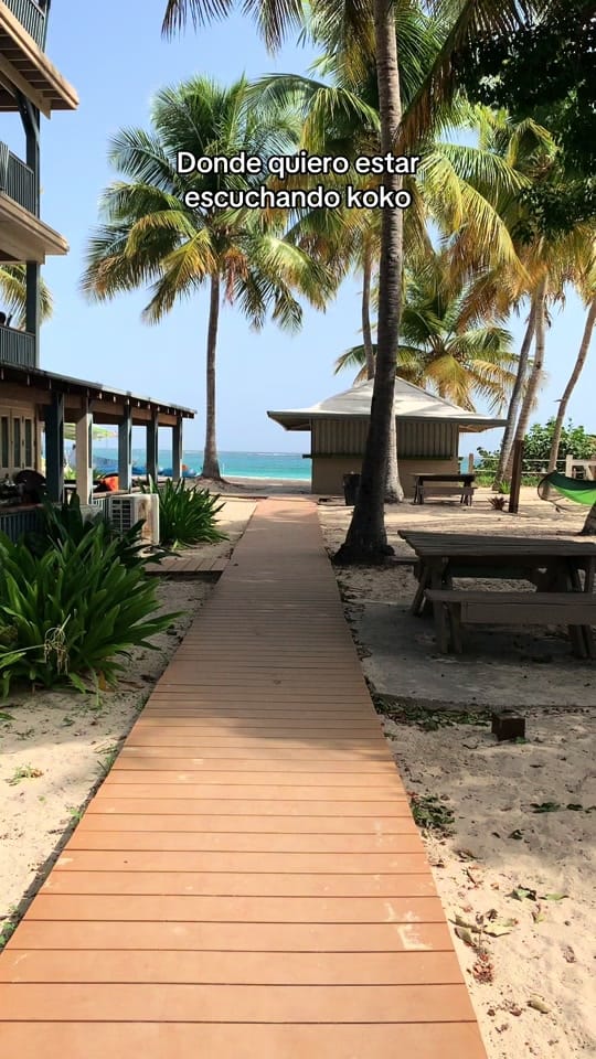 Post 5 by Lucy Torres on TikTok (video)