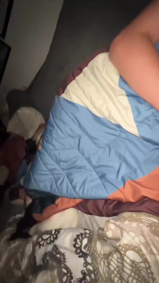 Post 2 by Wildspotted on TikTok (video)