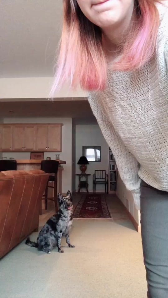 Post 9 by Wildspotted on TikTok (video)