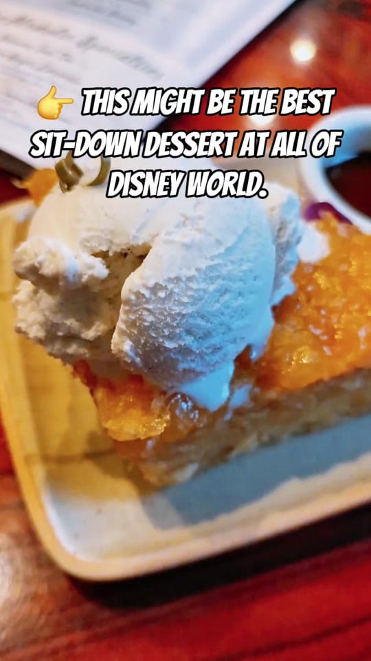 Post 2 by Amber | Theme Park Adult on TikTok (video)