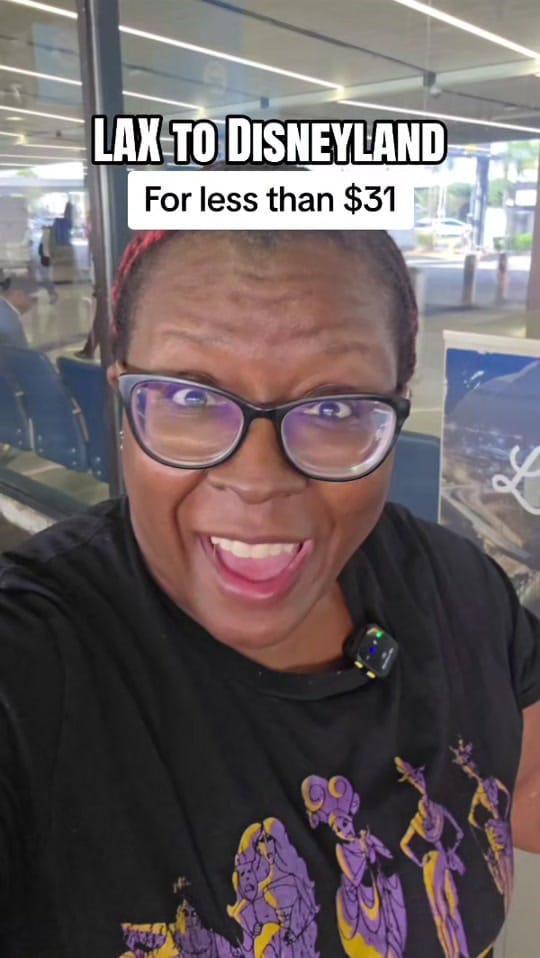 Post 5 by Amber | Theme Park Adult on TikTok (video)