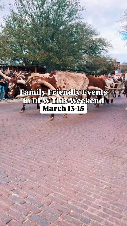 Post 1 by Dallas Family & Kid Activities on TikTok (video)