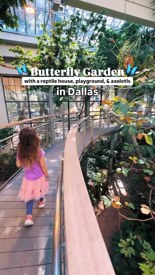 Post 10 by Dallas Family & Kid Activities on TikTok (video)