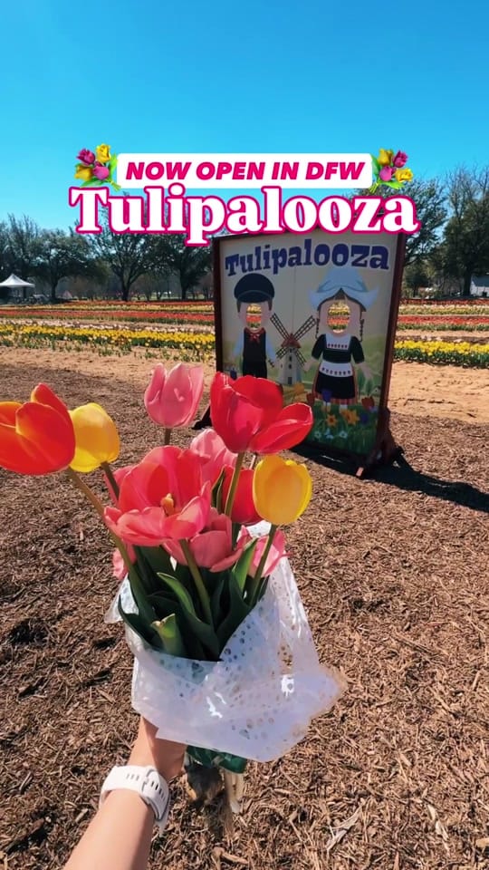 Post 7 by Dallas Family & Kid Activities on TikTok (video)