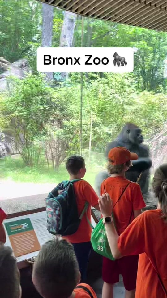 Post 10 by usa_life_with_uma 🇺🇸🇹🇲 on TikTok (video)