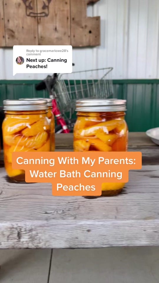 Post 9 by Grace | Marlowe Meadows on TikTok (video)