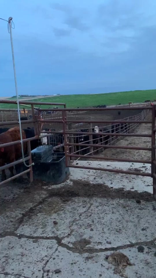 Post 10 by Kellkell on TikTok (video)