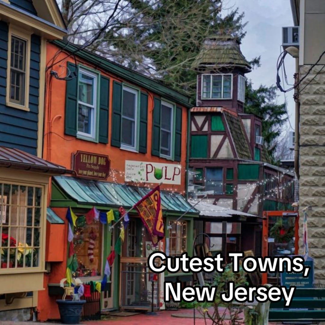 Post 10 by RootedNJ on TikTok (video)