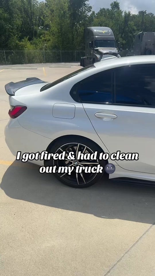 Post 6 by F I S H on TikTok (video)