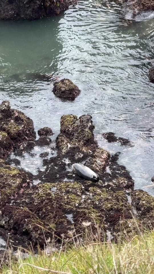 Post 5 by dyra.explora ✈️🌍 on TikTok (video)