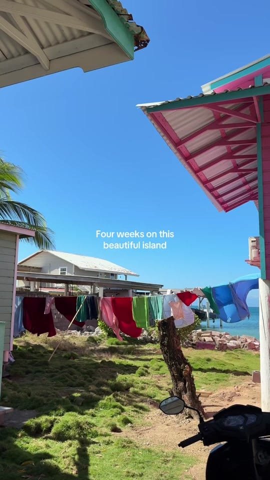 Post 4 by Tash | Divemaster training 🤿 on TikTok (video)