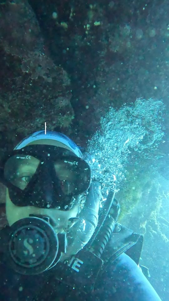 Post 3 by Tash | Divemaster training 🤿 on TikTok (video)