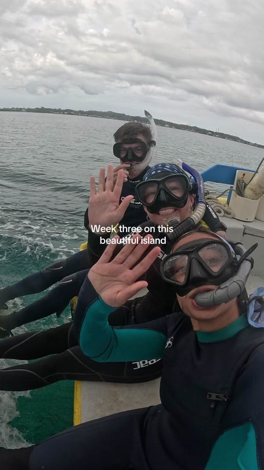 Post 7 by Tash | Divemaster training 🤿 on TikTok (video)