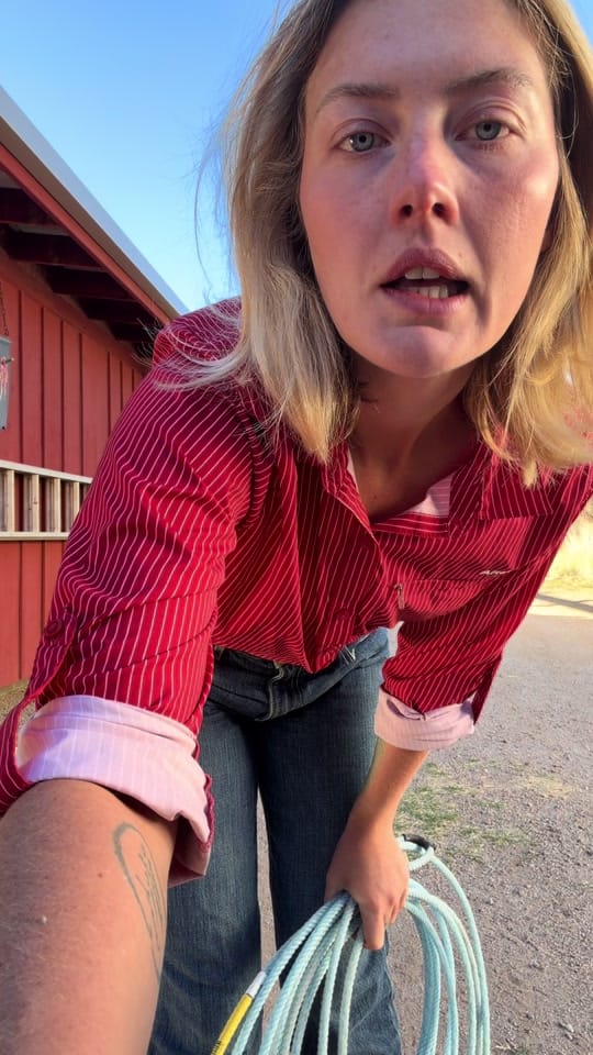 Post 5 by Nicole Danielle Björk on TikTok (video)
