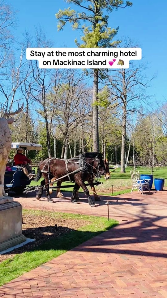 Post 5 by Jessica | Michigan Travel on TikTok (video)