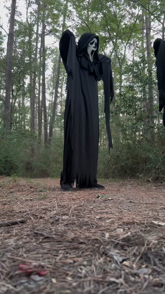 Post 9 by Yvonne | Houston Photographer on TikTok (video)