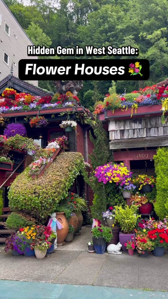 Post 10 by Emma | Seattle Content Creator on TikTok (video)