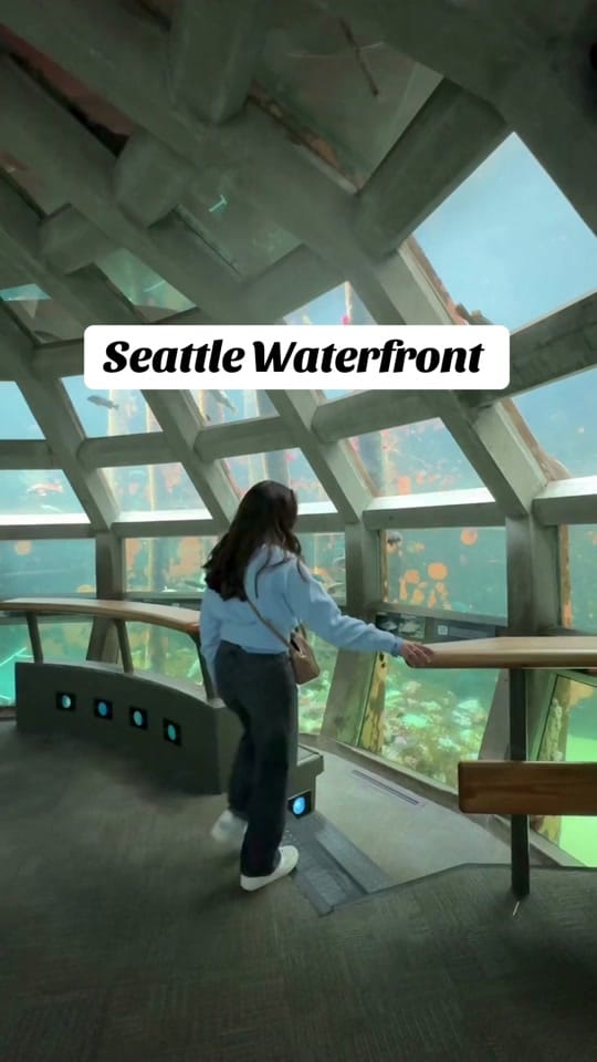 Post 7 by Emma | Seattle Content Creator on TikTok (video)