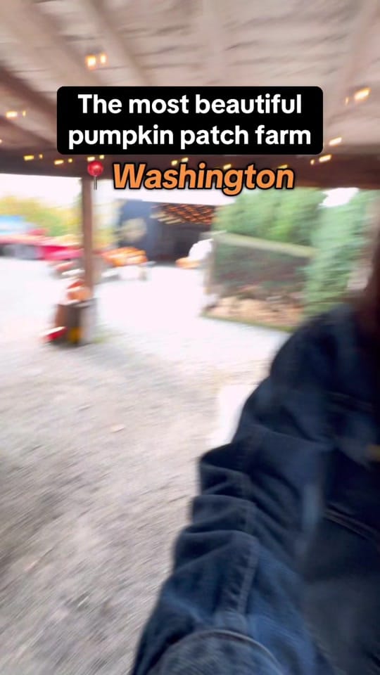 Post 8 by Emma | Seattle Content Creator on TikTok (video)