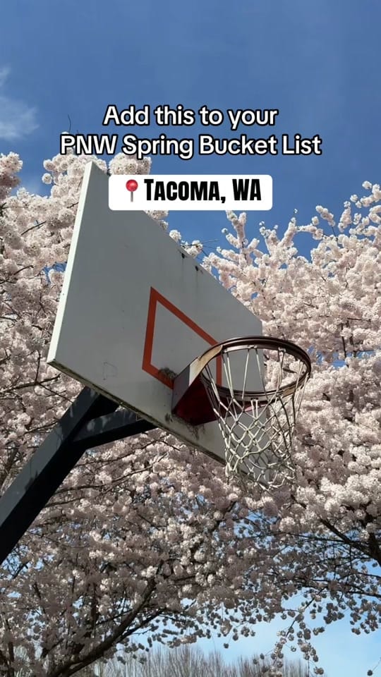 Post 5 by Emma | Seattle Content Creator on TikTok (video)