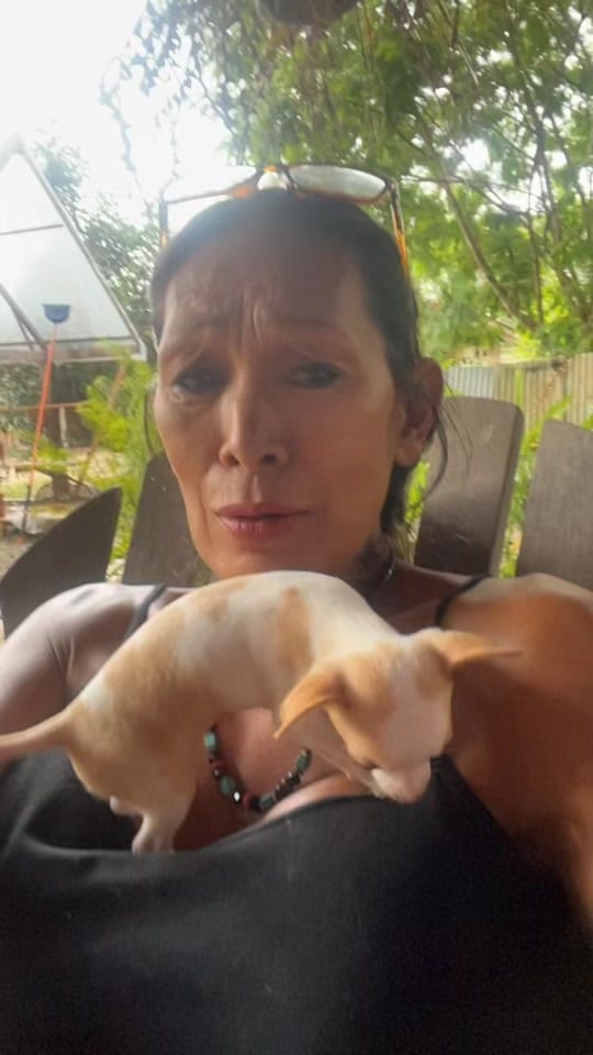 Post 1 by SashaRochelle702 on TikTok (video)