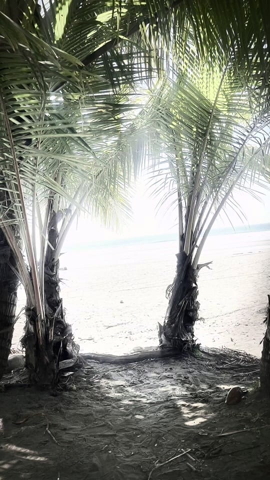 Post 6 by SashaRochelle702 on TikTok (video)