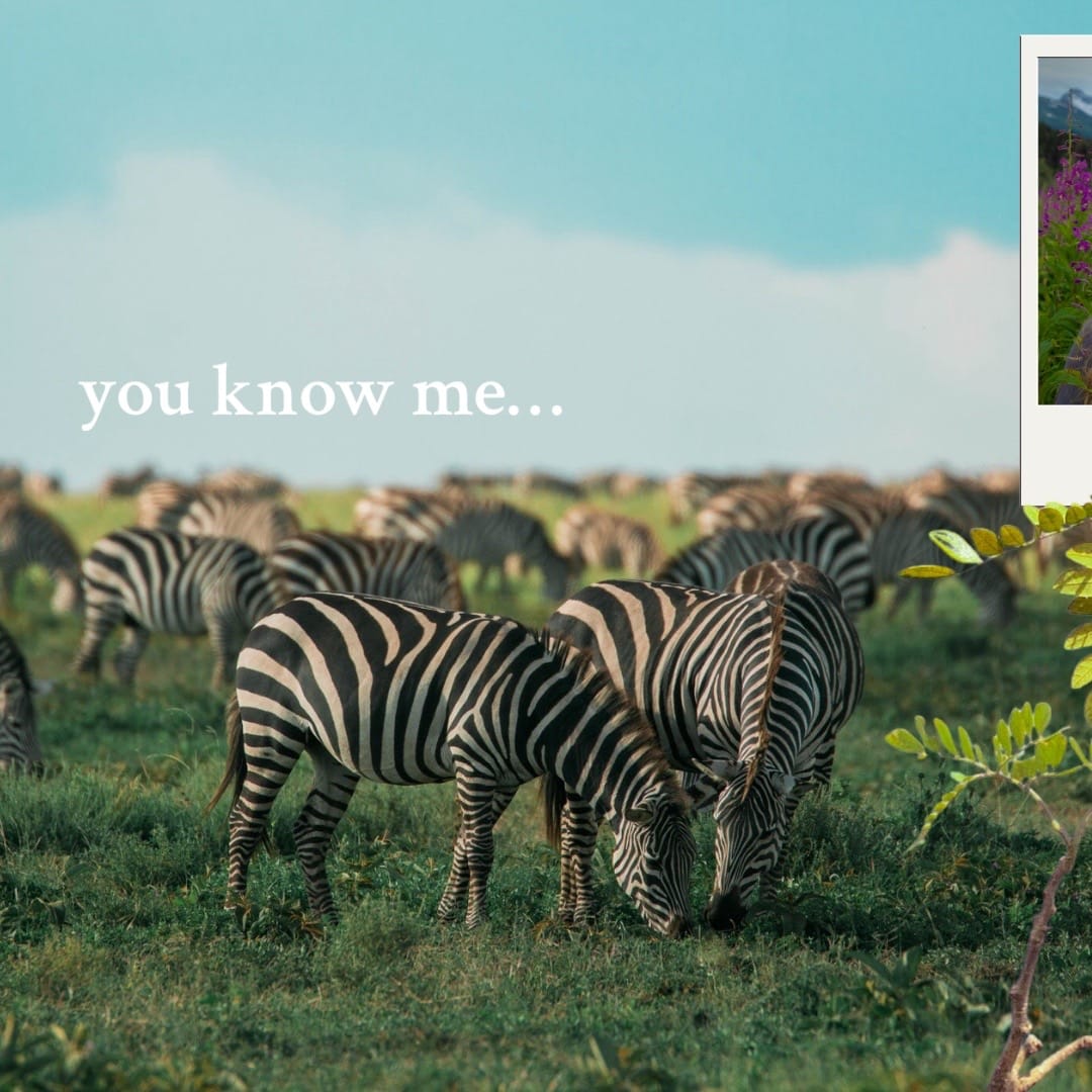 Post 10 by kayla ❁ wildlife girl on TikTok (video)