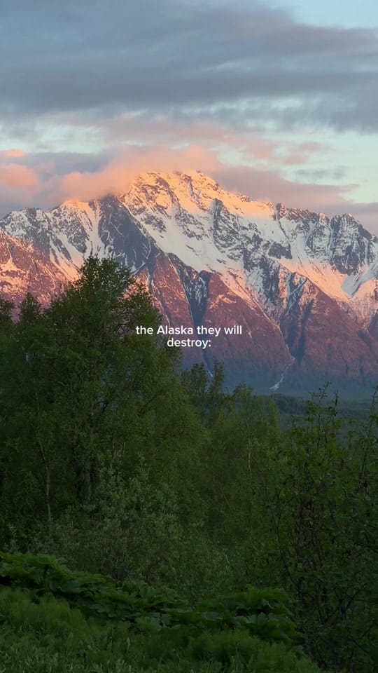 Post 9 by kayla ❁ wildlife girl on TikTok (video)
