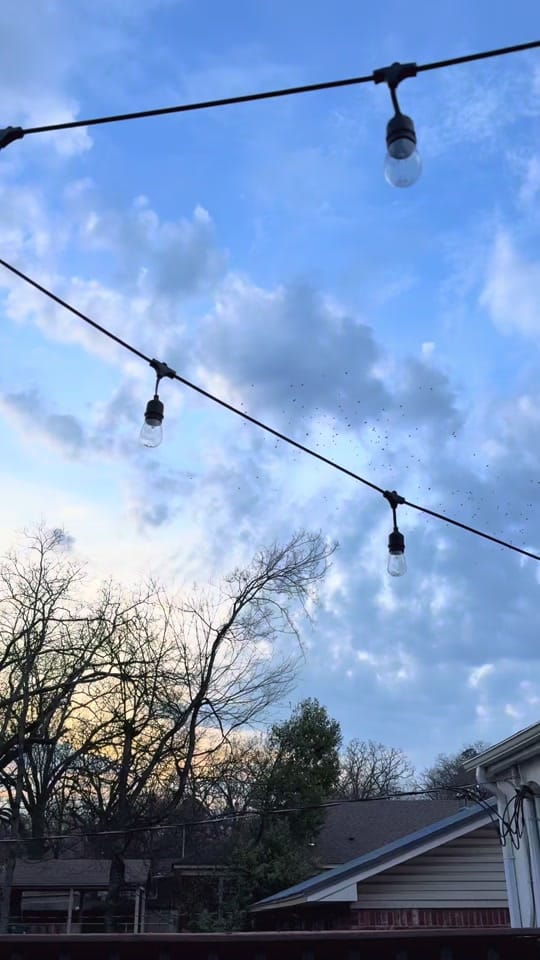 Post 3 by becca on TikTok (video)
