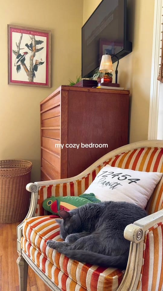 Post 9 by becca on TikTok (video)