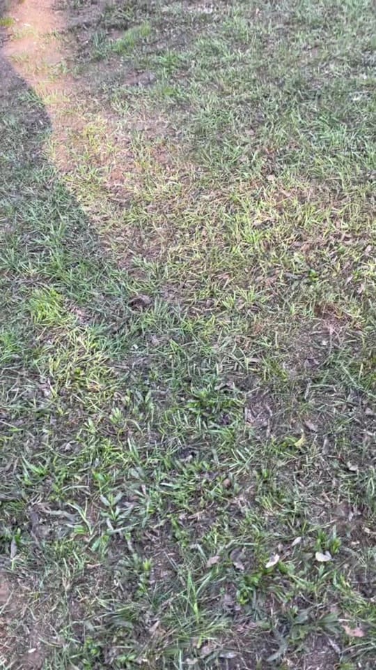 Post 10 by Rachel Perry on TikTok (video)