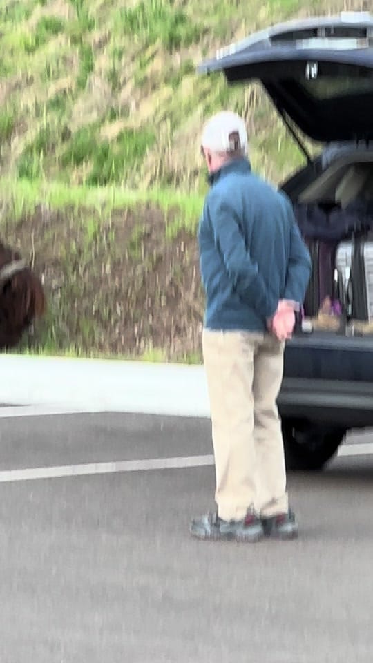 Post 9 by Montana’s Yellowstone Critters on TikTok (video)
