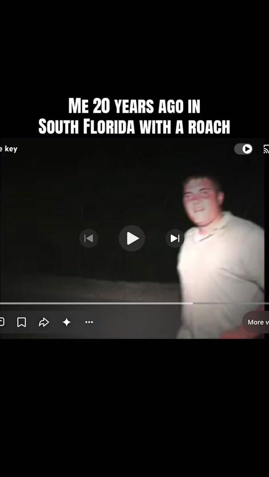 Post 5 by Stan Lake on TikTok (video)