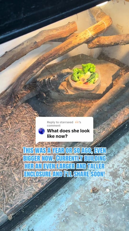 Post 7 by Stan Lake on TikTok (video)