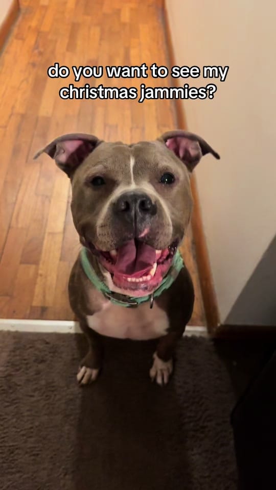 Post 4 by Esther 🧿 on TikTok (video)