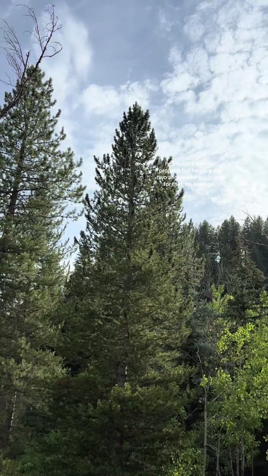 Post 6 by kae 🦢 on TikTok (video)