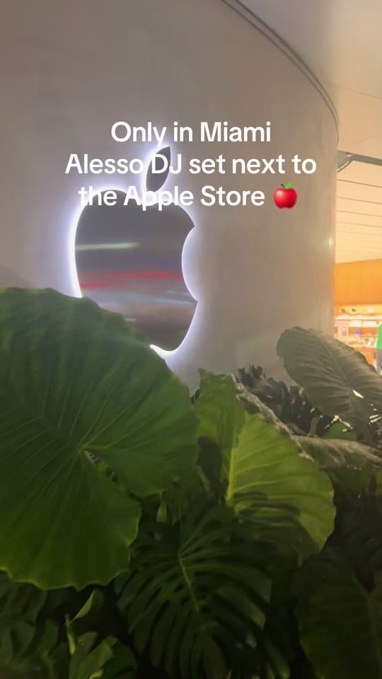 Post 4 by Cyn on TikTok (video)
