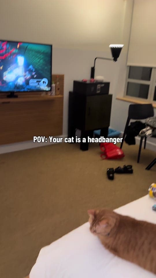 Post 2 by Gabriella Miller on TikTok (video)